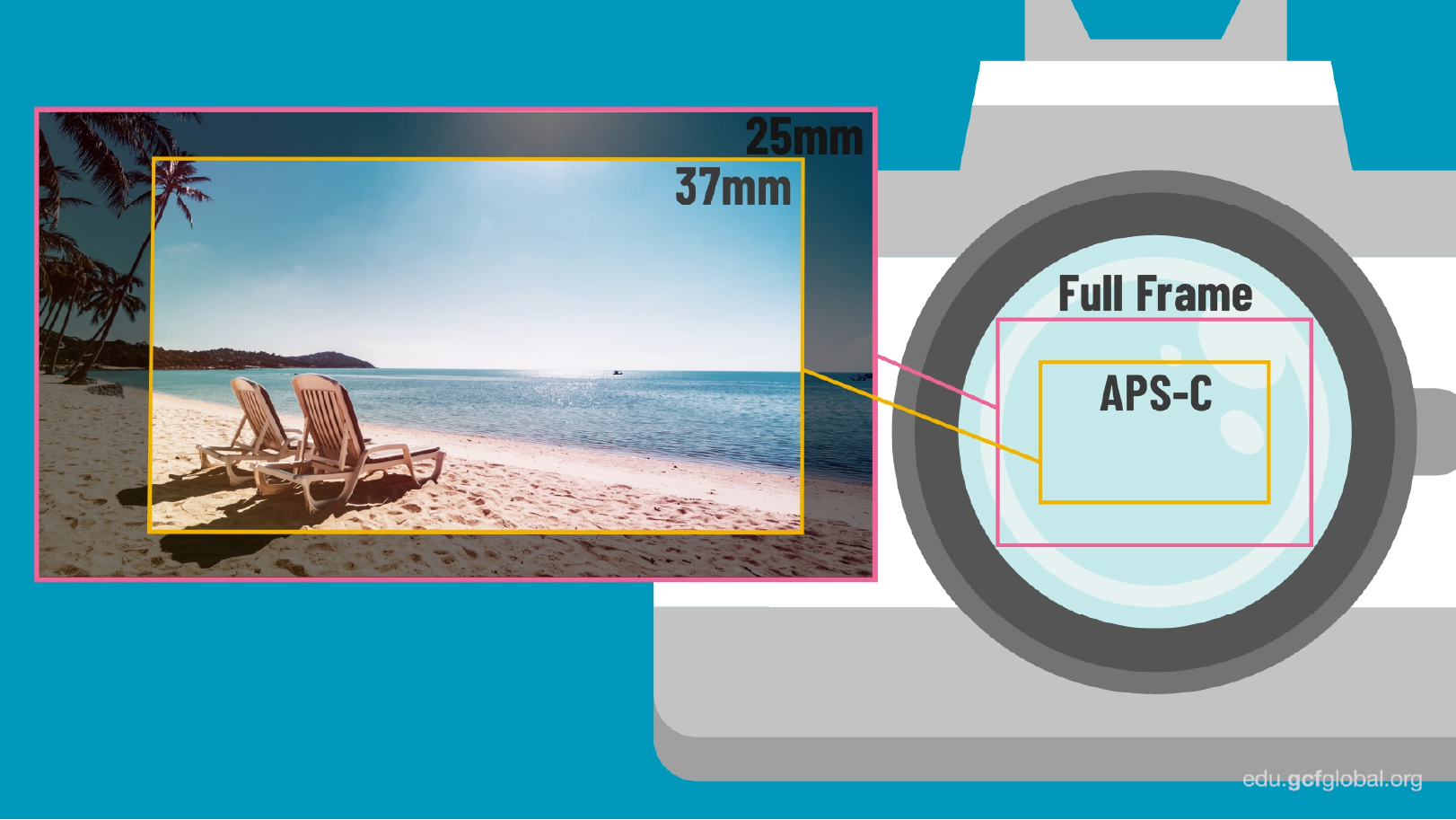 O que é o sensor de uma câmera fotográfica: diferenças entre sensor full frame e APS-C